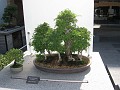 Botanical Gardens 2010 0475